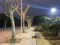 -同济大学(嘉定校区)