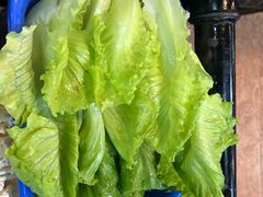 -东山羊庄(八卦岭店)