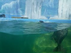 -多彩贵州城极地海洋世界