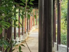 -八大山人梅湖景区