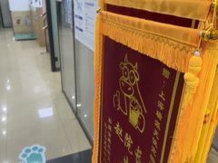 -瑞派天使宠物医院·神经外科·骨科·核磁CT(洛川中路店)