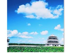 -呼兰河口湿地公园