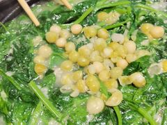 -陈麻婆豆腐(旗舰店)