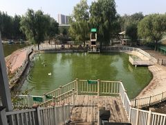 -北京鹿世界主题园