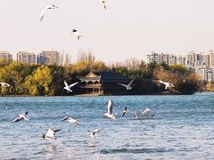 -云龙湖旅游景区