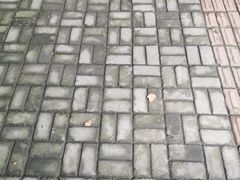 -上海虹桥宾馆(郁锦香品牌酒店)