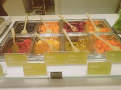 -Salud撒露欧洲冻酸奶(北苑上品店)