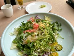 北部湾风声水起捞海蜇-桂林肥仔·中华餐饮名店(园湖店)