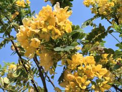 -广东花都湖国家湿地公园