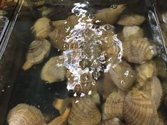 -岛中岛·海鲜大排档·万宁老字号(东澳店)
