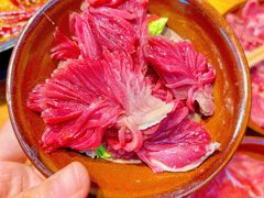 -阳阳老火锅(小南门店)