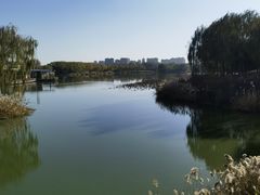 -大兴滨河森林公园