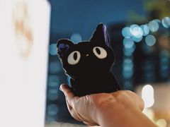 -深圳湾万象城(南山店)