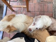 -豆舞咖啡(民乐路店)