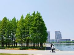 -尚贤河湿地