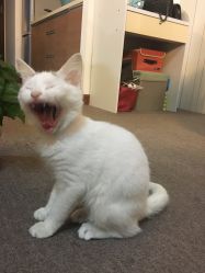 -尚美日式美甲美睫工作室