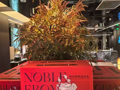 -秀儿四九城·新京菜(亚运村鸟巢店)