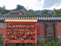 -阳台山自然风景区