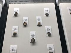 景点-古陶文明博物馆