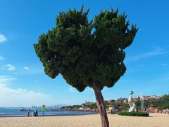 -青岛汇泉商业广场