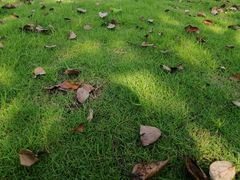 -艾溪湖湿地公园