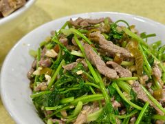 野山椒香菜牛肉-小辣椒(华富店)