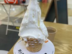 -野人先生Gelato(上海长宁龙之梦店)