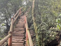 -青城山