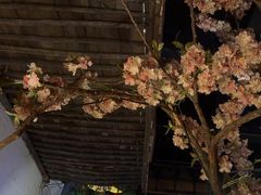 -淀里船宴(卓达店)