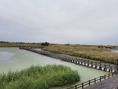 -宁波杭州湾国家湿地公园