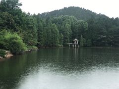 -四明山国家森林公园