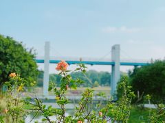 -东莞植物园