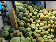 -亚龙湾海底世界