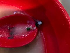 -廖老妈蹄花店(人民公园陕西街259号店)