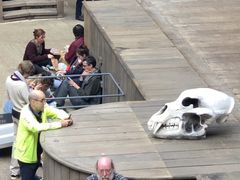 -莎士比亚环球剧场