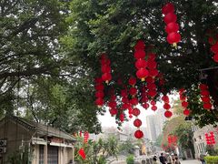 -荔湾湖公园
