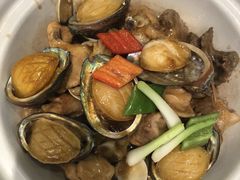 -东方御宴海鲜酒楼(棕泉酒店)