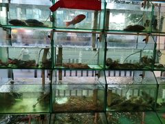 -凯华海鲜火锅·传承三十六年