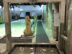 -杰仕健身百合天地会所(海宁百合新城店)