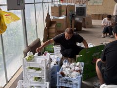 -马陆小张葡萄园农家乐