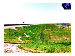 -南汇嘴观海公园