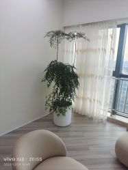 -HEYAN荷妍专业脱毛连锁机构