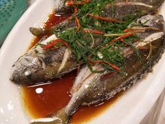 果皮蒸泥猛-四海之家(蛇口店)