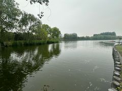 -大兴滨河森林公园