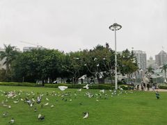 -白鹭洲公园