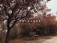 -北京西山国家森林公园