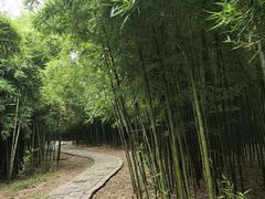 -同里国家湿地公园