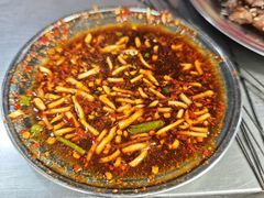 -杨记烤肉老店