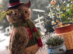 -爸爸糖吐司面包(南京奥体店)