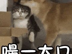 -陈记柳州螺蛳粉(大坪店)